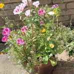 Profile Picture of James Beech (@james.beech.1428) on Facebook