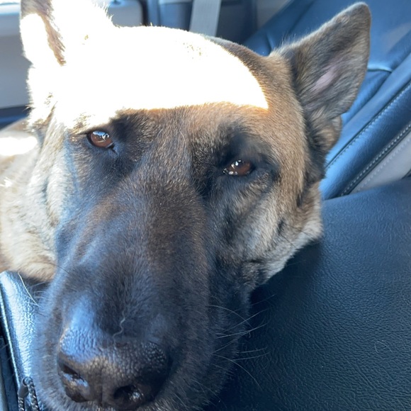 Profile Picture of Ryan Quady (@rquades23) on Poshmark