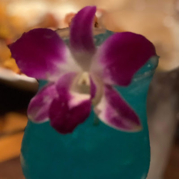 Profile Picture of Rachel Downs (@dragonflytigger) on Poshmark