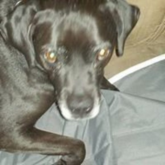 Profile Picture of Charlene Cherney-dunne (@charlenecherney) on Poshmark