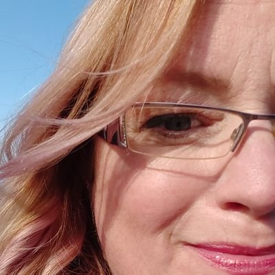 Profile Picture of Debbie Quinn (@debbiebewick1) on Twitter