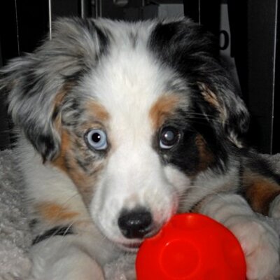 Profile Picture of Jeff Elms (@jeff_elms) on Twitter