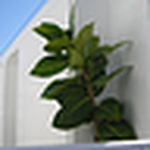 Profile Picture of Brandon Gibbons (@b22gibbons) on Flickr