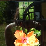 Cathy Lilienthal - Facebook Profile Picture of Cathy Lilienthal (@llcathyjo) on Facebook