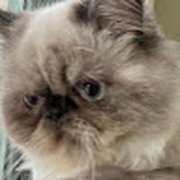 Profile Picture of Rene Salinas (@rene-salinas-33) on Quora