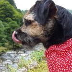 Profile Picture of Tracy (@tracyskipper70) on Instagram
