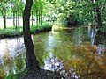 Profile Picture of Swalmen - Wikipediaon Wikipedia