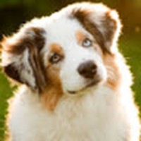 Profile Picture of Paige Branch (@paige-branch-1) on Quora