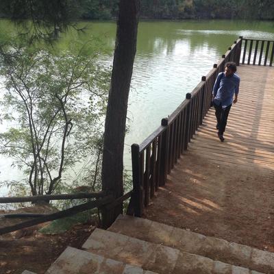 Profile Picture of Danny Tripp (@Tripp_Danny) on Twitter