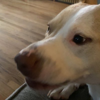 Profile Picture of Michael Scotts Mom 😩 (@EckenrodHaley) on Twitter
