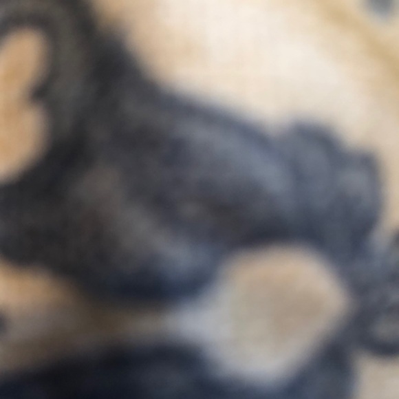 Profile Picture of Christopher Lippolis (@lips3844) on Poshmark