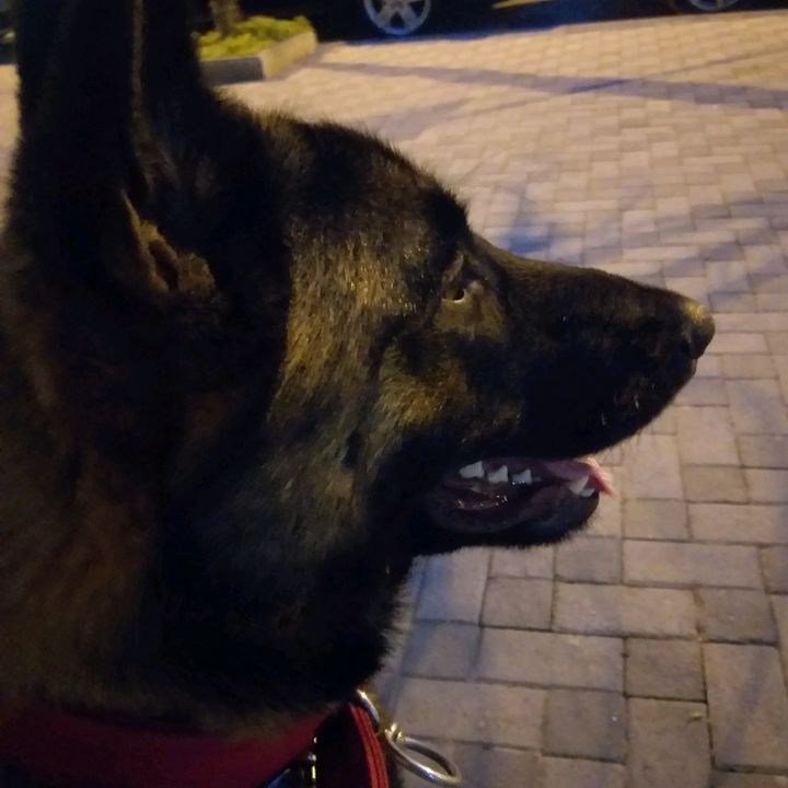 Profile Picture of Lorenc.roko (@lorenc.roko1) on Tiktok