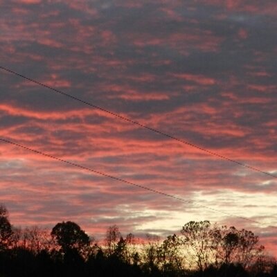 Profile Picture of Holli Givens (@Nulley67) on Twitter