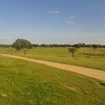 Profile Picture of Isabel Plasencia (@plasencia_i) on Instagram