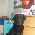 Profile Picture of Gracie Baldry (@Gracie-Baldry) on Facebook