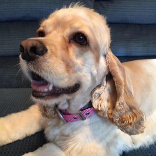 Profile Picture of Debra Geisinger (Debra  Gentry) (@debra.geisinger) on Facebook