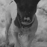 Profile Picture of Sean Rushton (@seanrushto) on Instagram