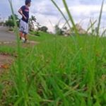 Profile Picture of Patrick Marra (@patrick.marra.188) on Instagram