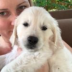 Krysta Snyder Is My Mommy. - Instagram Profile Picture of Krysta Snyder Is My Mommy. (@louie_of_the_north) on Instagram