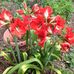 Profile Picture of Anne Heap (@anne.heap.79) on Facebook