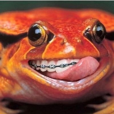 Profile Picture of Jason Mader (@JasonMader6) on Twitter