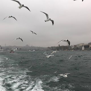 Alex Demba - Facebook Profile Picture of Alex Demba (@alex.demba.5661) on Facebook