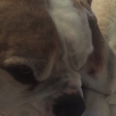 Profile Picture of David Bilson (@DavidBilson1) on Twitter