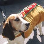 Profile Picture of Joan E Joni Hansen (@sccnative) on Instagram