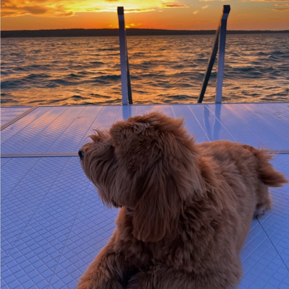 Profile Picture of Allison Harryman (@allisonharryman) on Poshmark