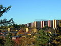 Profile Picture of Akallaon Wikipedia