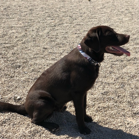 Profile Picture of Joseph Ayala (@josephayala12) on Poshmark