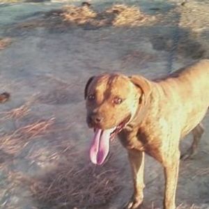 Chelsee Bennett - Myspace Profile Picture of Chelsee Bennett (@382848311) on Myspace