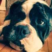 Profile Picture of Gabriel Proctor (@gabrielproctor8202) on Youtube