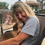 Profile Picture of Debbie Bertnick (@debbiebertnick) on Instagram