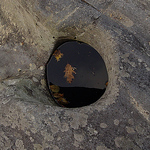 Profile Picture of michael DeLuca (@mossy_skull) on Flickr