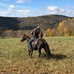 Gabriel Murphy - Instagram Profile Picture of Gabriel Murphy (@gcmurphy) on Instagram