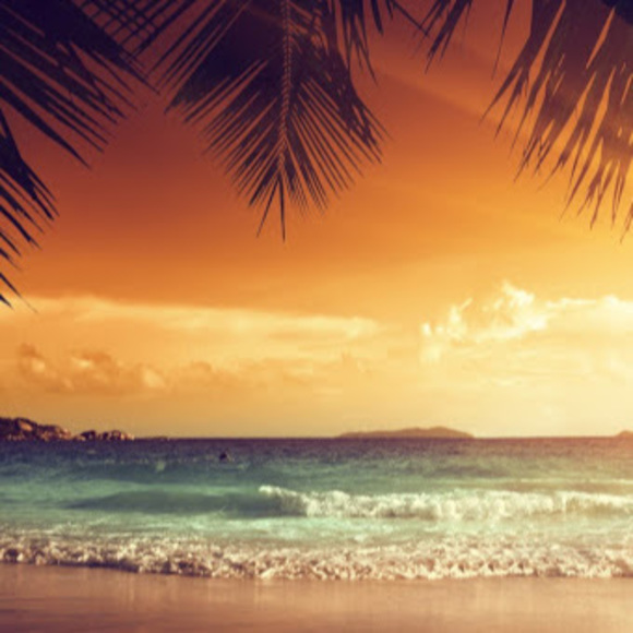 Profile Picture of Sage Rogers (@srogers0113) on Poshmark