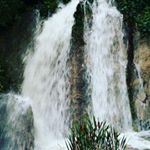 Profile Picture of 김미원 (@miwon___kim) on Instagram