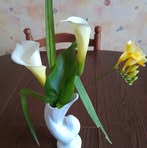 Profile Picture of Michele Le Rouzic (@michele.lerouzic.161) on Facebook