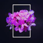 🖤 Lisa Gane 🖤 - Instagram Profile Picture of 🖤 Lisa Gane 🖤 (@twentythreebydesign) on Instagram