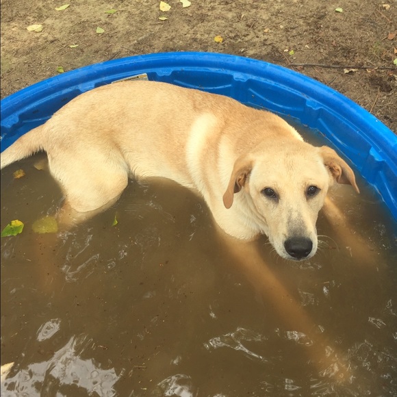 Profile Picture of Evan Piel (@alabama10) on Poshmark