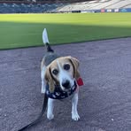 Profile Picture of Sharon Skieresz (@sharon.skieresz) on Facebook