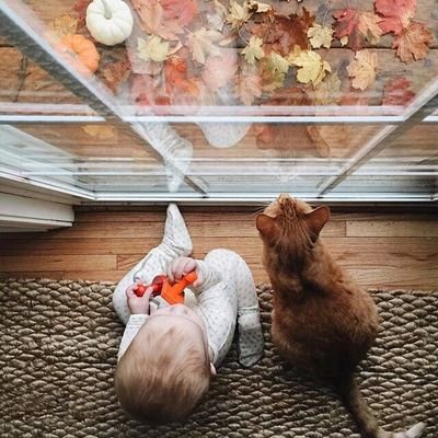 Amal Atallah - Twitter Profile Picture of Amal Atallah (@95Amal) on Twitter