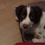 Profile Picture of Lynne Mcdade (@lynne.mcdade) on Instagram