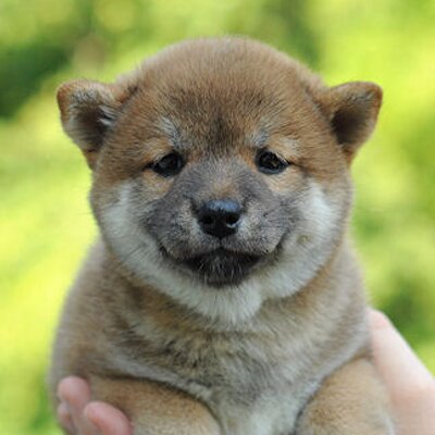 Profile Picture of Donna McCormick (@Cormick9Mc) on Twitter