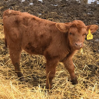 Profile Picture of Patrick Pollock (@ppollock69) on Twitter