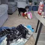 Profile Picture of Karen Cronk (@karen.cronk.64) on Facebook