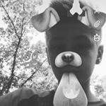 Wesley Swanson - Instagram Profile Picture of Wesley Swanson (@_w_e_s__) on Instagram