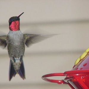 Profile Picture of Jane Shannon (@313750609) on Myspace