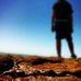 Profile Picture of Alexander Frederick Alldritt (@alexander.alldritt) on Facebook